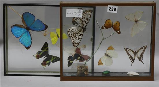 2 cased butterfly groups largest 30cm.